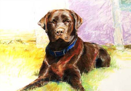 Cliff Bull Studio — pastel pet portrait