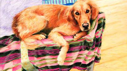 'Honey' — reference photo example